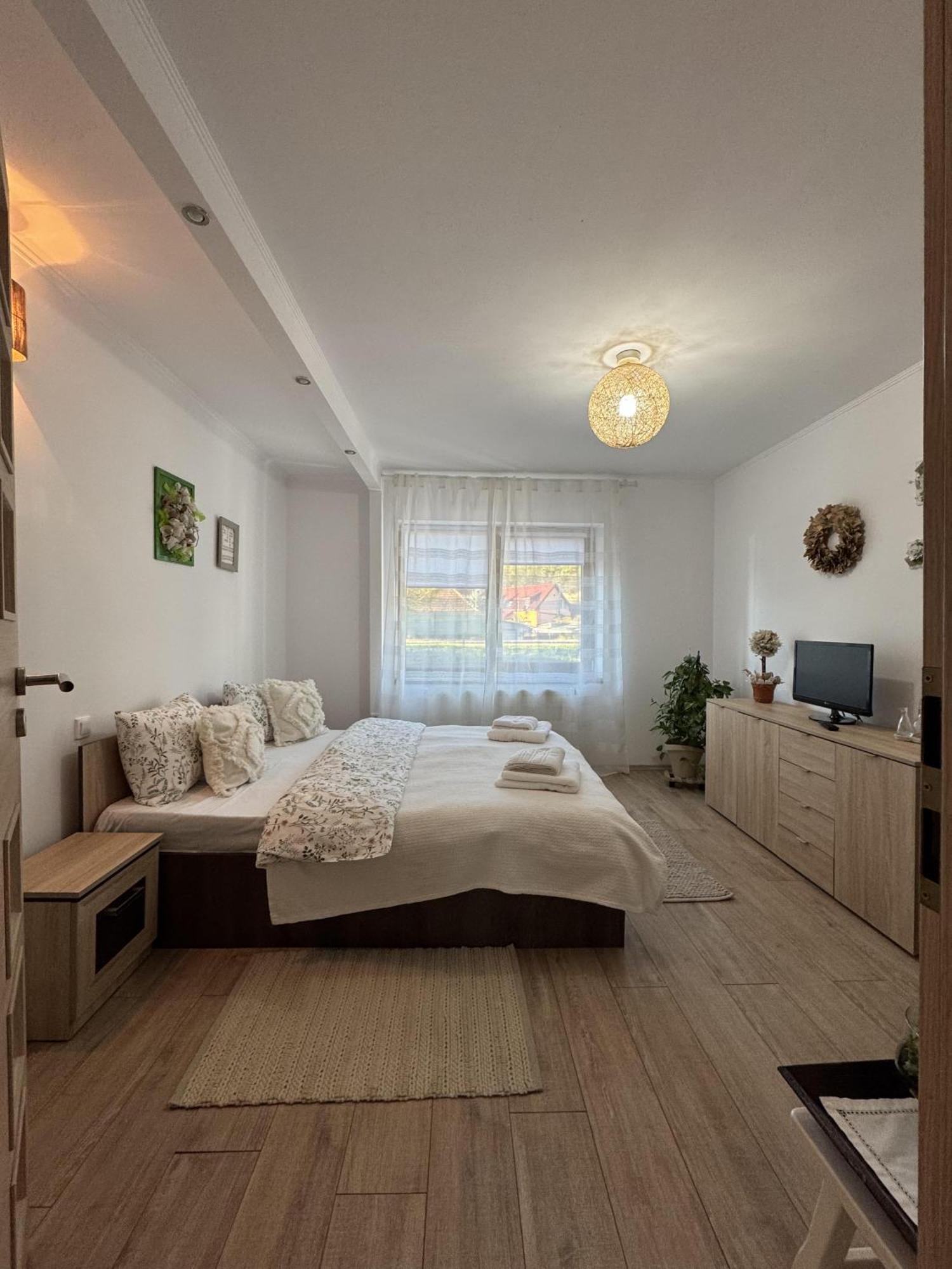 Vik'S Home Сигишоара Экстерьер фото