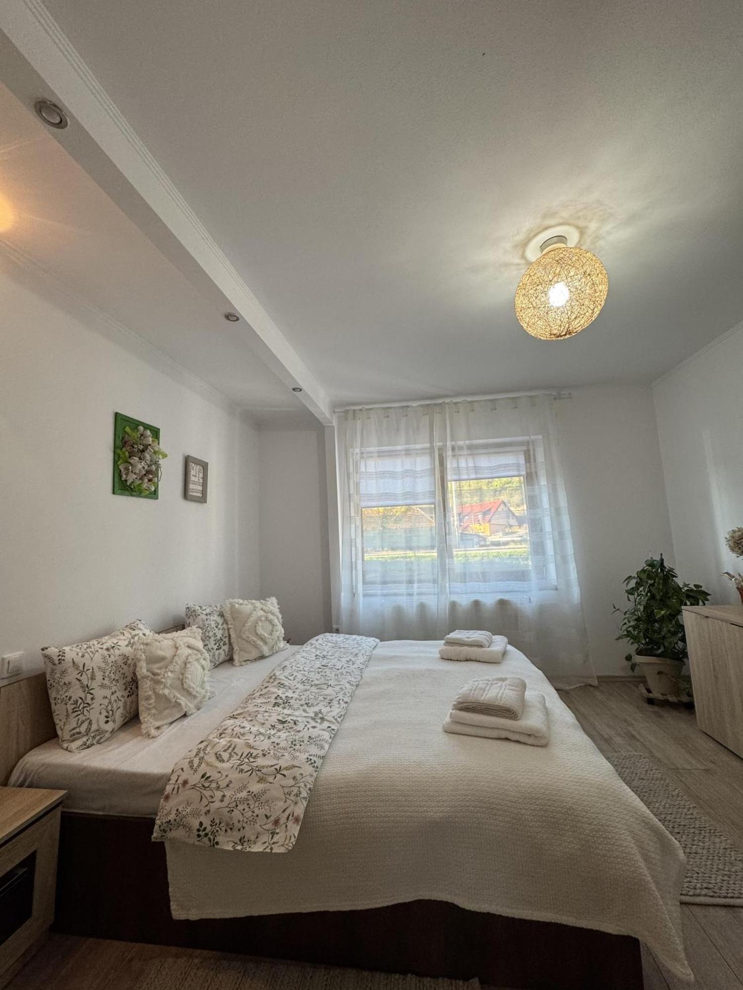 Vik'S Home Сигишоара Экстерьер фото